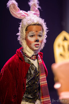 Alice in Wonderland
